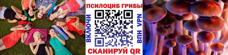 продажа наркотиков  Разумное  Псилоцибиновые грибы ЛСД 